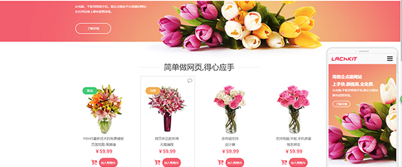 電商行業(yè)網(wǎng)站解決方案 電商行業(yè)網(wǎng)站解決方案